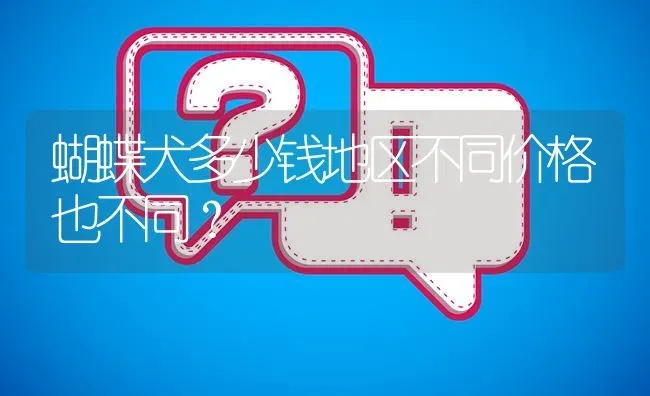 蝴蝶犬多少钱地区不同价格也不同？ | 动物养殖问答