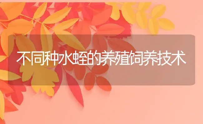 不同种水蛭的养殖饲养技术 | 动物养殖百科