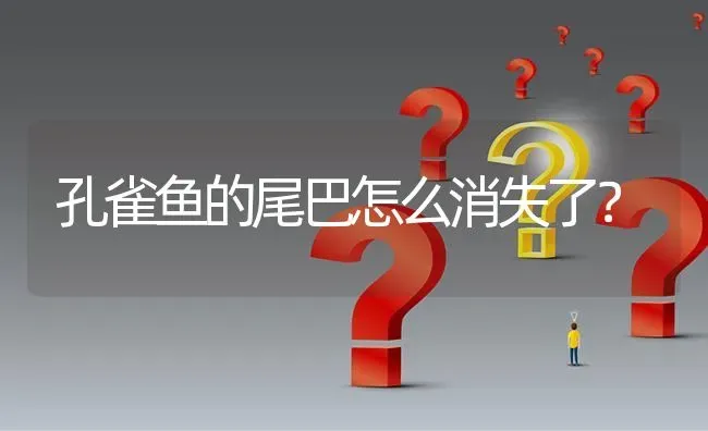 孔雀鱼的尾巴怎么消失了？ | 鱼类宠物饲养