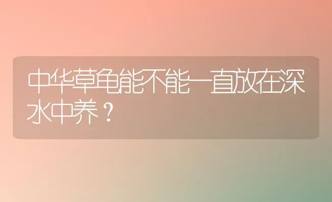 中华草龟能不能一直放在深水中养？ | 动物养殖问答