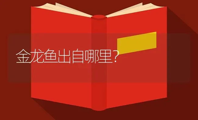 金龙鱼出自哪里？ | 鱼类宠物饲养