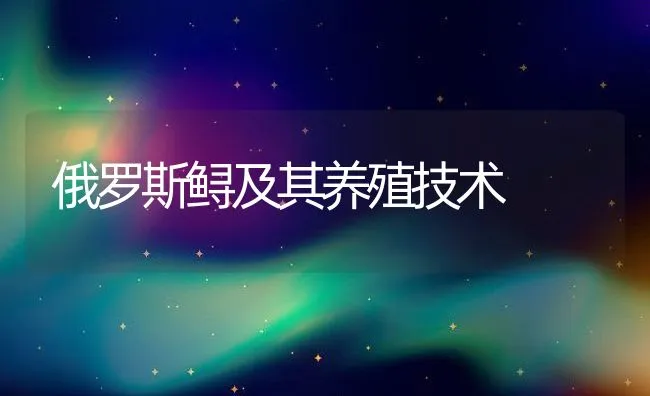 俄罗斯鲟及其养殖技术 | 水产养殖知识