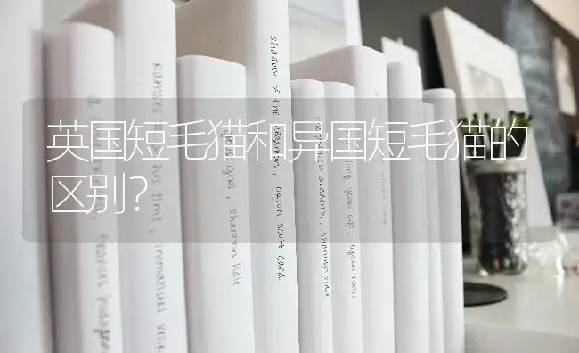 博美犬为什么有尖嘴的和狐狸一样，有的是大脑袋方嘴像小猴子一样啊？ | 动物养殖问答