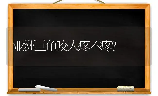 亚洲巨龟咬人疼不疼？ | 动物养殖问答