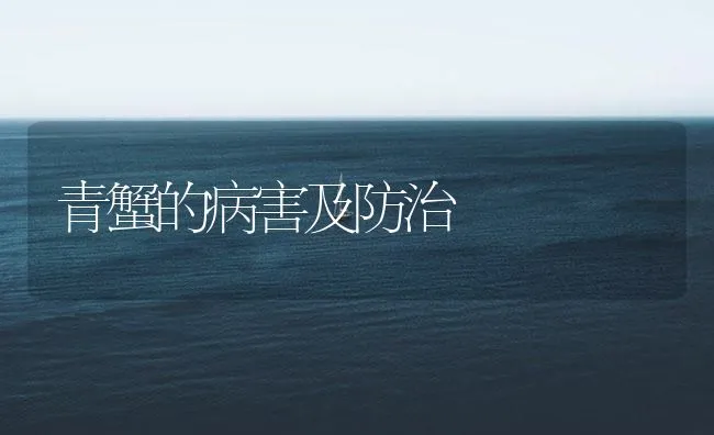 青蟹的病害及防治 | 海水养殖技术