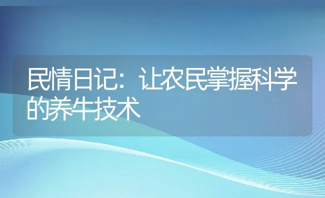 民情日记：让农民掌握科学的养牛技术 | 动物养殖饲料