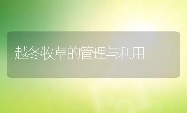 越冬牧草的管理与利用 | 动物养殖学堂