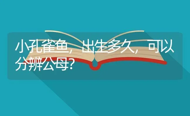 小孔雀鱼，出生多久，可以分辨公母？ | 鱼类宠物饲养