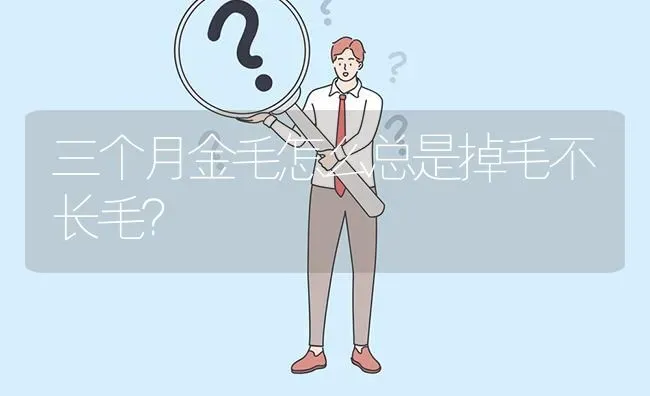 三个月金毛怎么总是掉毛不长毛？ | 动物养殖问答