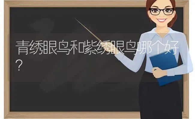 青绣眼鸟和紫绣眼鸟哪个好？ | 动物养殖问答