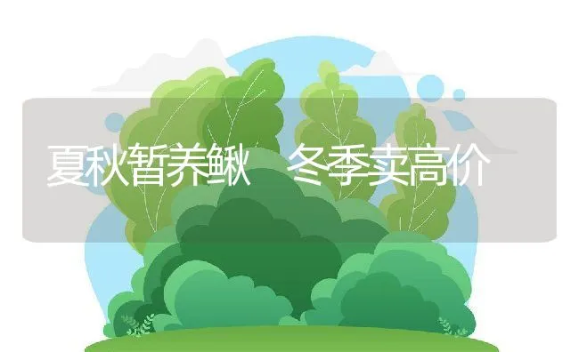 蛋鸡饲养中的五个过早过晚都有害 | 动物养殖学堂