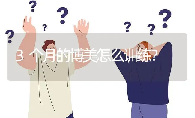 3个月的博美怎么训练？ | 动物养殖问答