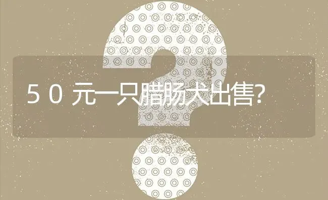 50元一只腊肠犬出售？ | 动物养殖问答