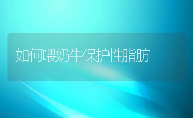 红罗非鱼生物学特性及其养殖技术 | 海水养殖技术