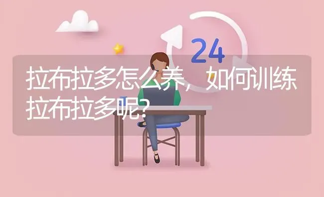 拉布拉多怎么养，如何训练拉布拉多呢？ | 动物养殖问答