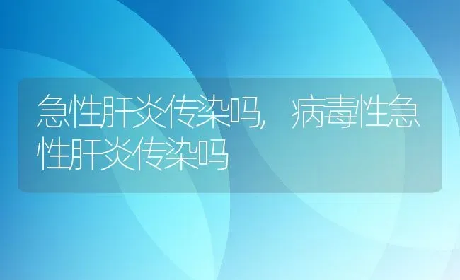 急性肝炎传染吗,病毒性急性肝炎传染吗 | 宠物百科知识