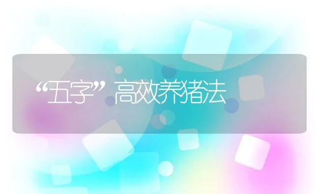 “五字”高效养猪法 | 动物养殖饲料