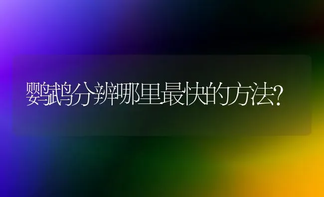 鹦鹉分辨哪里最快的方法？ | 动物养殖问答