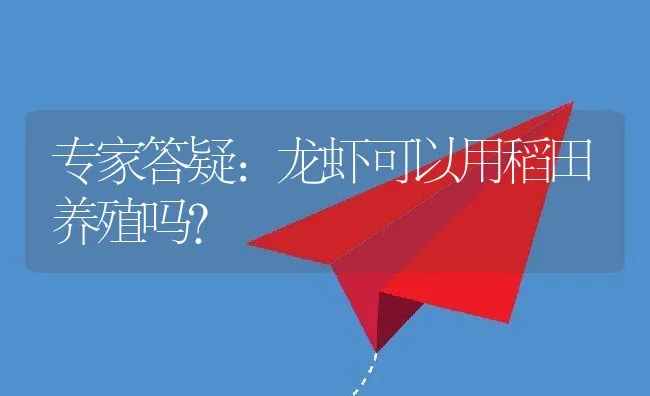 专家答疑：龙虾可以用稻田养殖吗? | 动物养殖饲料