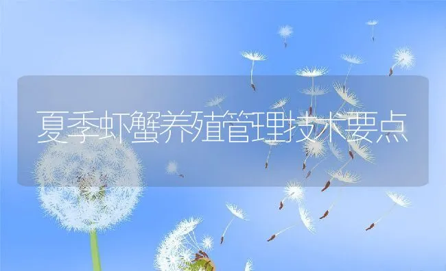 夏季虾蟹养殖管理技术要点 | 动物养殖饲料