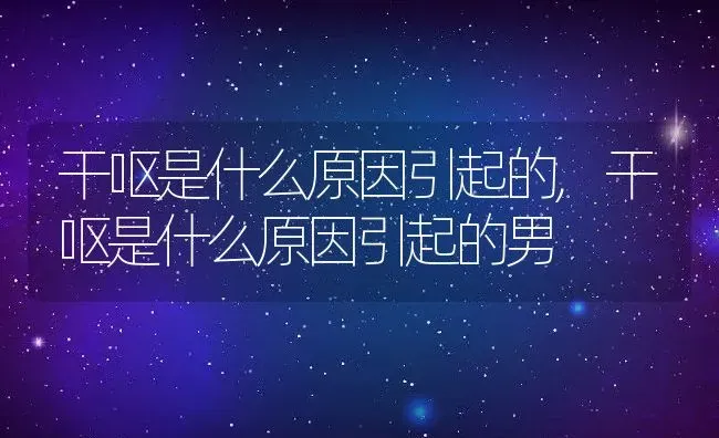 干呕是什么原因引起的,干呕是什么原因引起的男 | 宠物百科知识