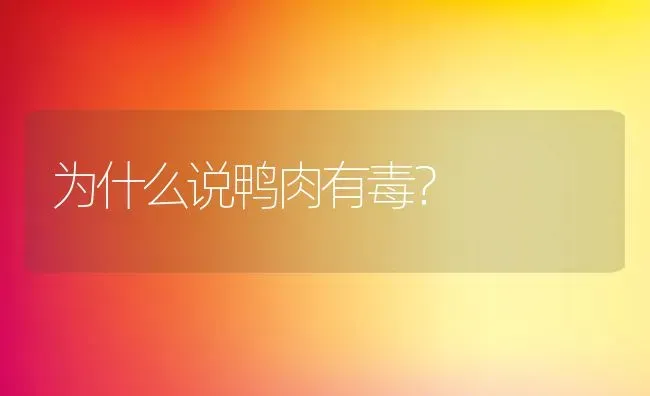 为什么说鸭肉有毒？ | 动物养殖百科