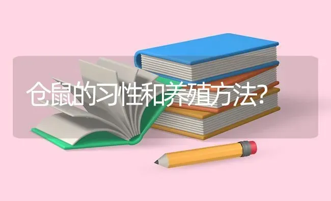 仓鼠的习性和养殖方法？ | 动物养殖问答