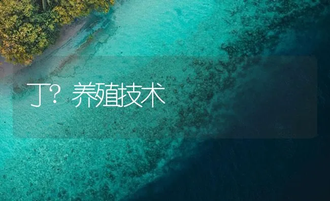 丁?养殖技术 | 海水养殖技术