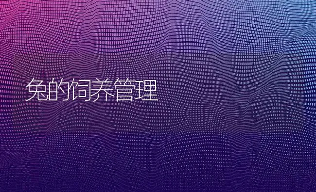 兔的饲养管理 | 水产养殖知识