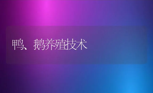 鸭、鹅养殖技术 | 动物养殖饲料