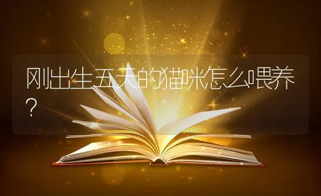 40多天小狗狗应该注意什么？ | 动物养殖问答