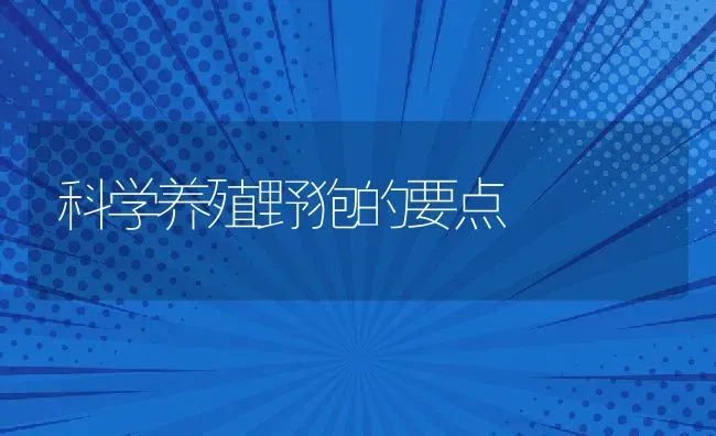 科学养殖野狍的要点 | 动物养殖教程