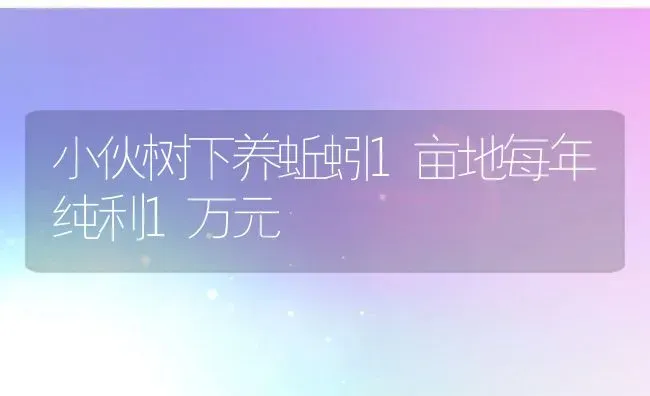 小伙树下养蚯蚓1亩地每年纯利1万元 | 动物养殖百科