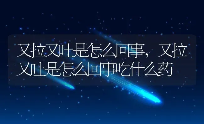 又拉又吐是怎么回事,又拉又吐是怎么回事吃什么药 | 宠物百科知识