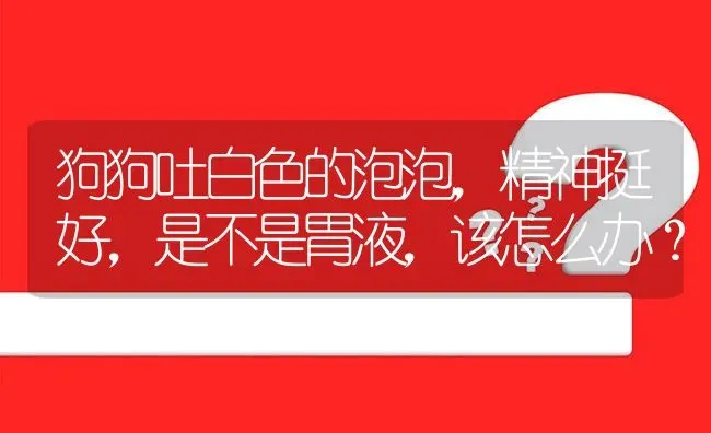 狗狗吐白色的泡泡，精神挺好，是不是胃液，该怎么办？ | 动物养殖问答