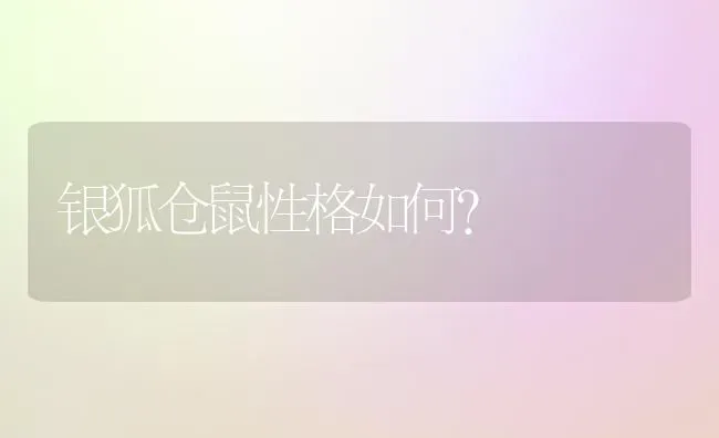 银狐仓鼠性格如何？ | 动物养殖问答