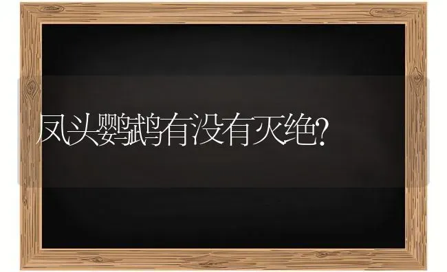 凤头鹦鹉有没有灭绝？ | 动物养殖问答