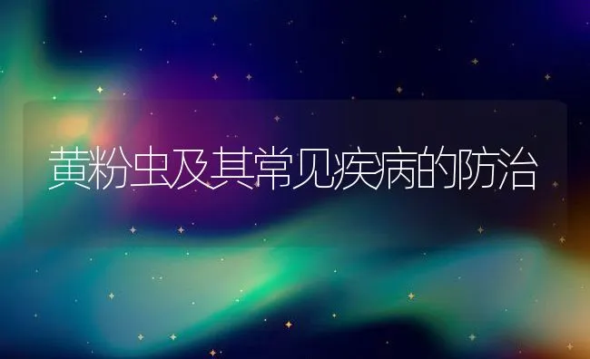 黄粉虫及其常见疾病的防治 | 水产养殖知识