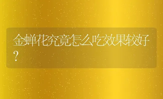 金蝉花究竟怎么吃效果较好？ | 动物养殖百科