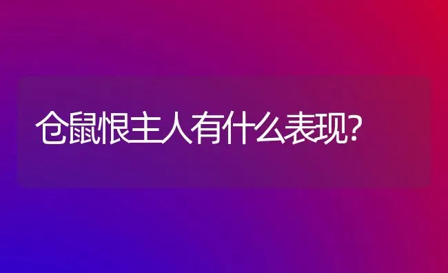 仓鼠恨主人有什么表现？ | 动物养殖问答