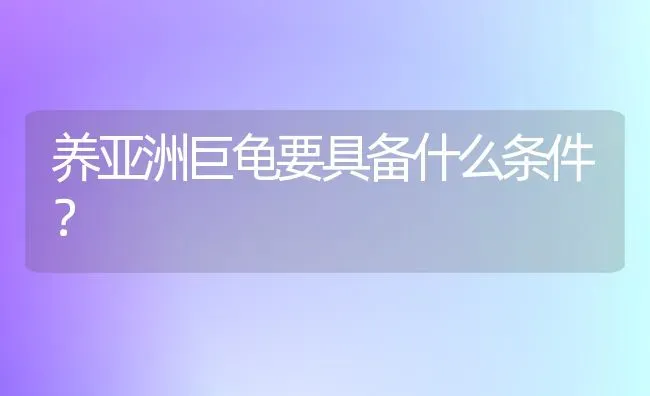 养亚洲巨龟要具备什么条件？ | 动物养殖问答