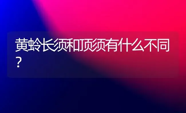 黄蛉长须和顶须有什么不同？ | 动物养殖问答