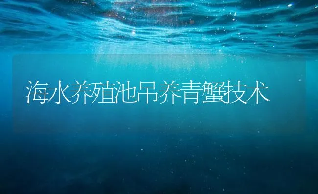 海水养殖池吊养青蟹技术 | 海水养殖技术