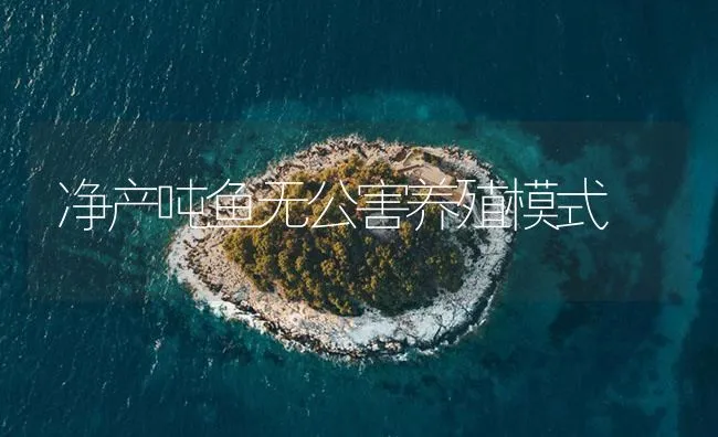 净产吨鱼无公害养殖模式 | 海水养殖技术