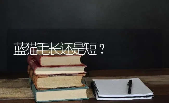 蓝猫毛长还是短？ | 动物养殖问答