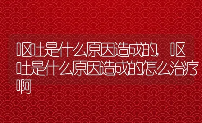 呕吐是什么原因造成的,呕吐是什么原因造成的怎么治疗啊 | 宠物百科知识