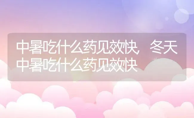 中暑吃什么药见效快,冬天中暑吃什么药见效快 | 宠物百科知识