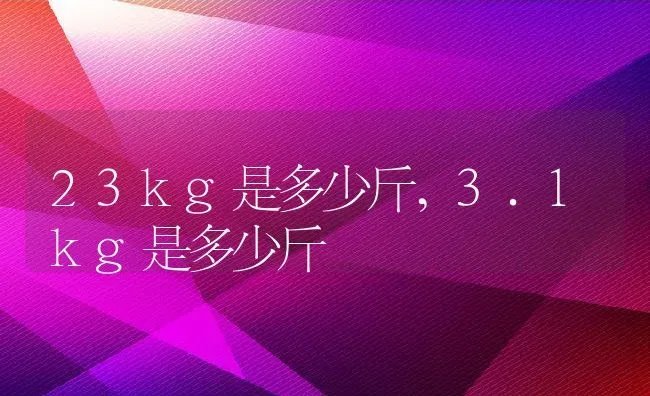 23kg是多少斤,3.1kg是多少斤 | 宠物百科知识