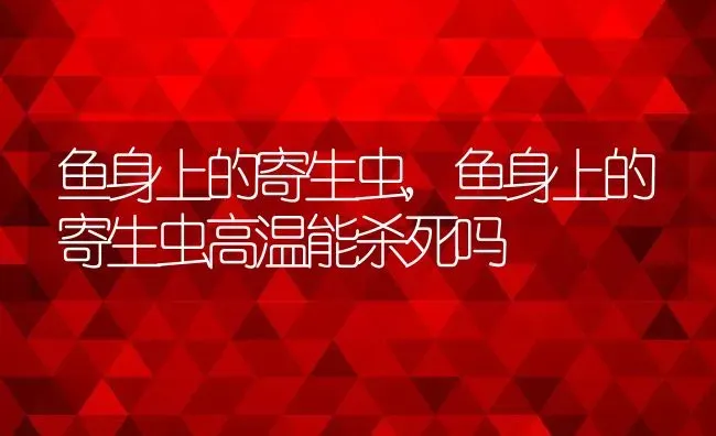 鱼身上的寄生虫,鱼身上的寄生虫高温能杀死吗 | 宠物百科知识