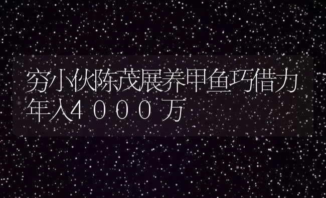 穷小伙陈茂展养甲鱼巧借力年入4000万 | 动物养殖百科